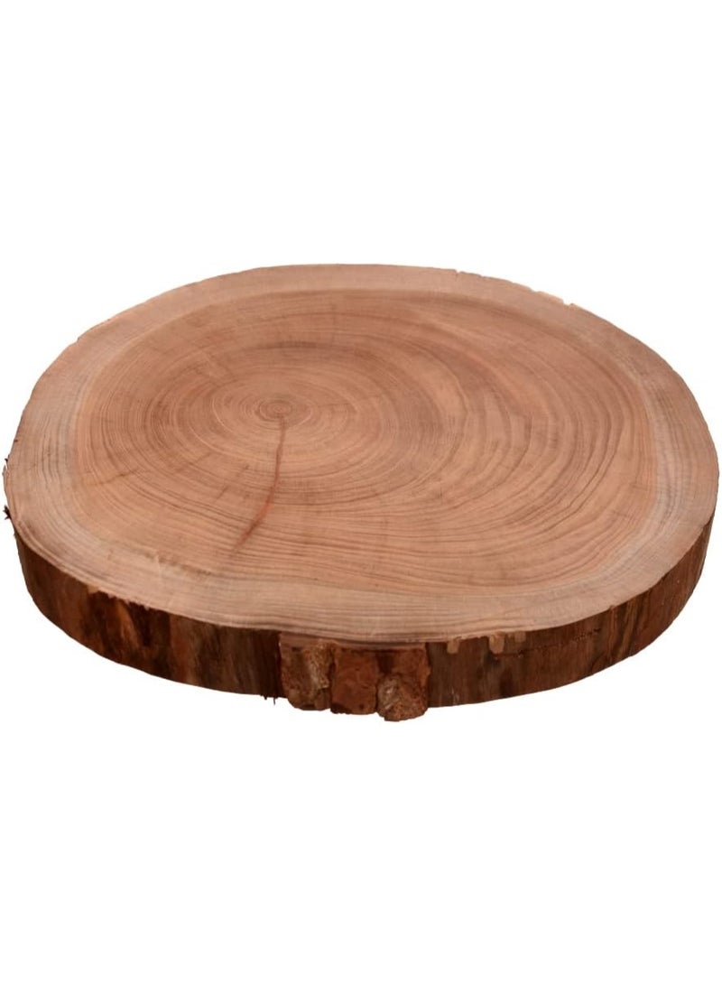 A large coaster consisting of two round pieces of natural tree wood (known as wood slices or "Wood Slices"), featuring a rustic and attractive appearance as a decoration. - Image 4